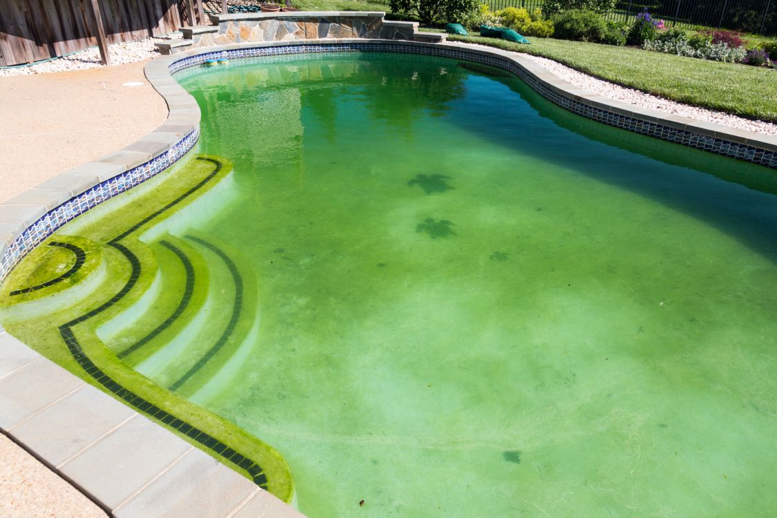 Pool requiring maintenance services in Turlock, CA